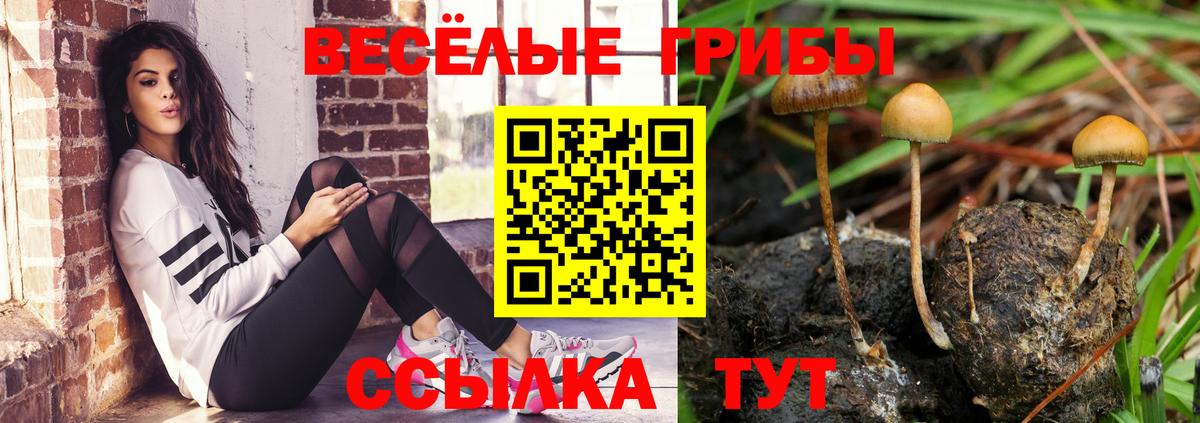 Москва  Псилоцибиновые грибы мухоморы  Псилоцибиновые грибы ЛСД  Вход с VPN 
